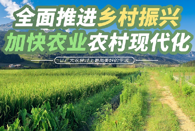 政策解讀：2023年，鄉(xiāng)村振興重點扶持這28個項目！